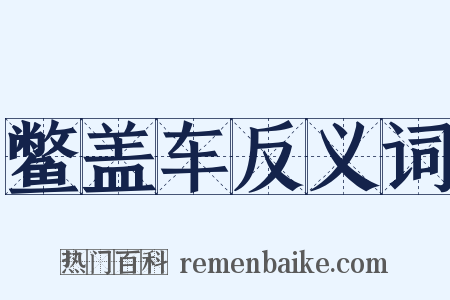 鳖盖车反义词是什么意思的图片